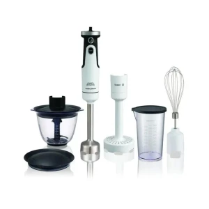 Բլենդեր MORPHY RICHARDS MR6006W