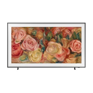 Телевизор SAMSUNG QE65LS03DAUXRU 65 "